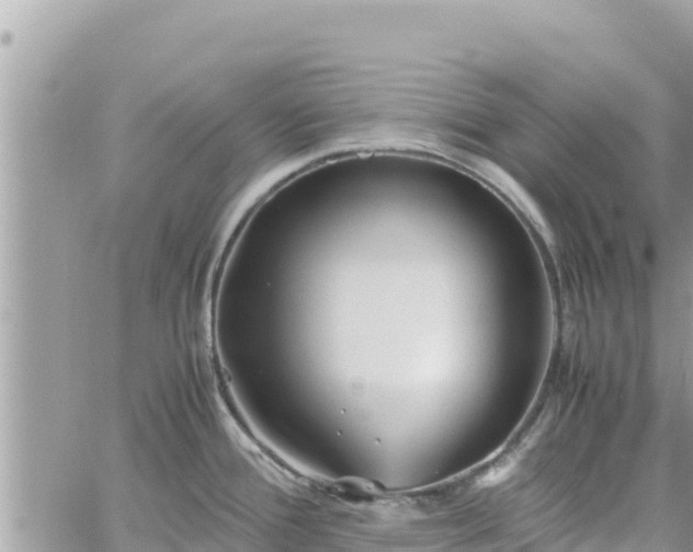 X0000060751388200511171111