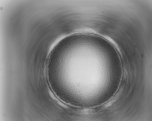 X0000060751390200511171111