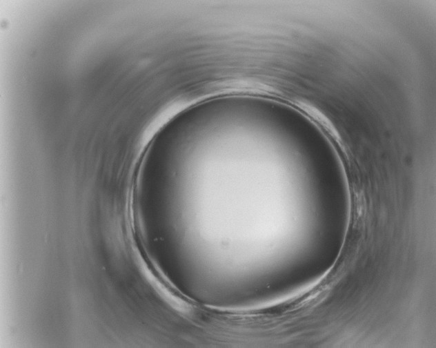 X0000060751391200511171111