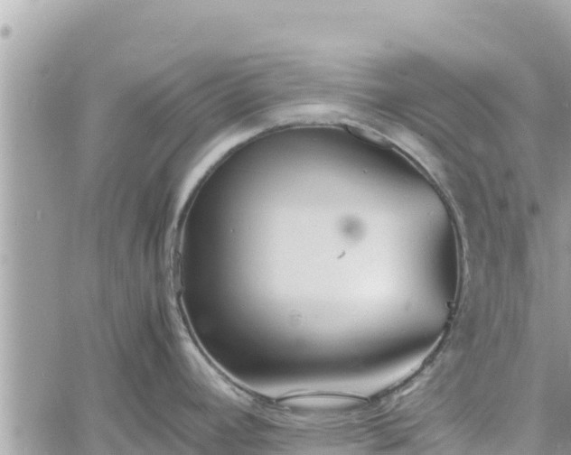 X0000060751392200511171111