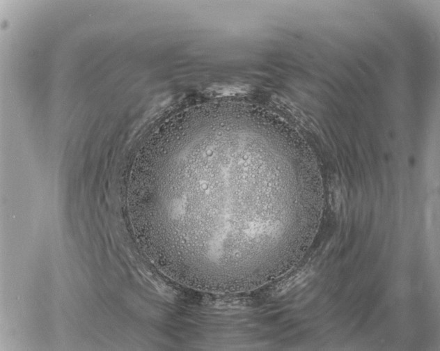 X0000060751393200511171110