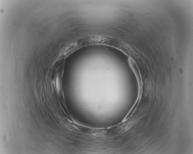 X0000060751394200511171110