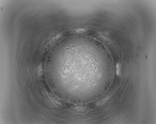 X0000060751395200511171110