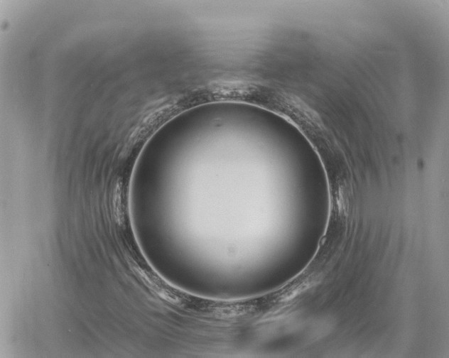 X0000060751396200511171110