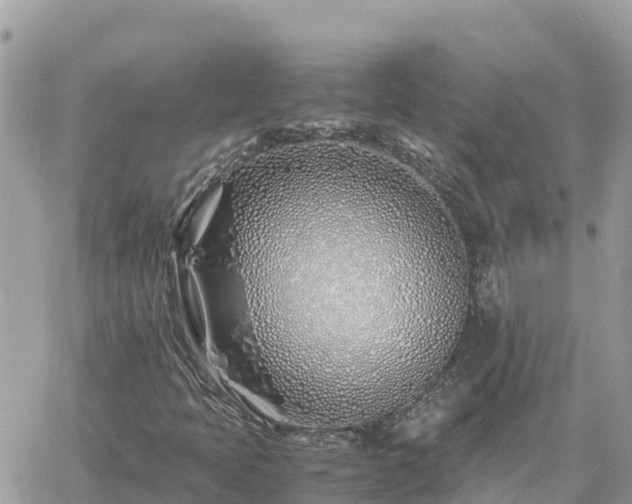 X0000060751397200511171110