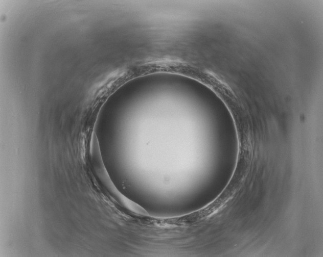 X0000060751398200511171110