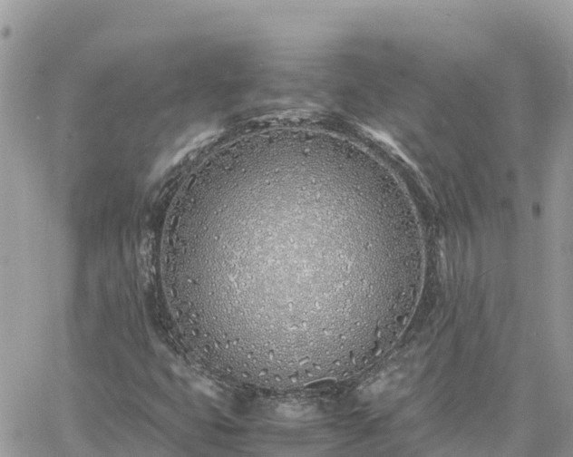 X0000060751399200511171110