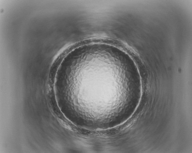 X0000060751400200511171111