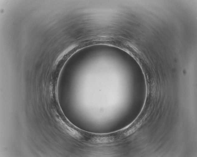 X0000060751402200511171111