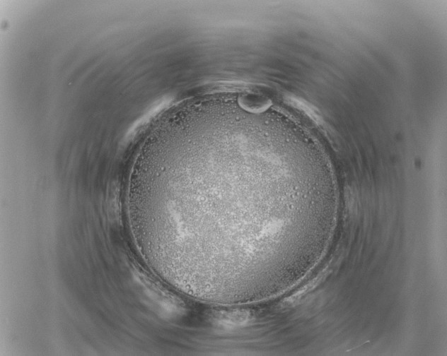 X0000060751403200511171111