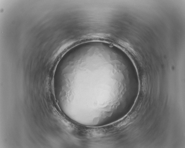 X0000060751404200511171111