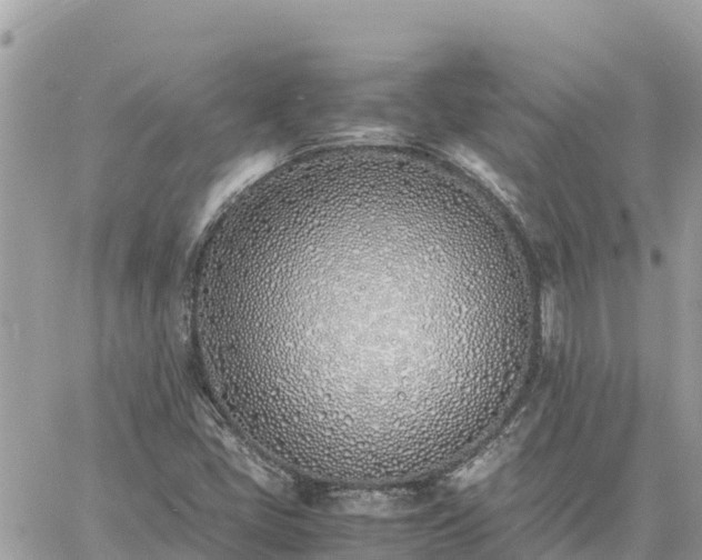 X0000060751405200511171111