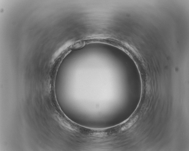 X0000060751406200511171111