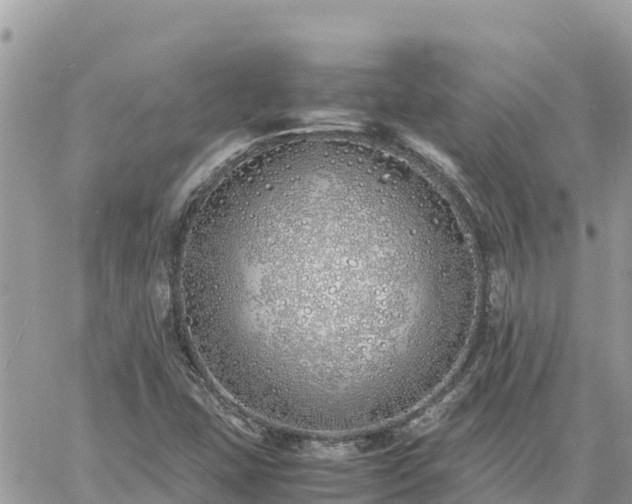 X0000060751407200511171111