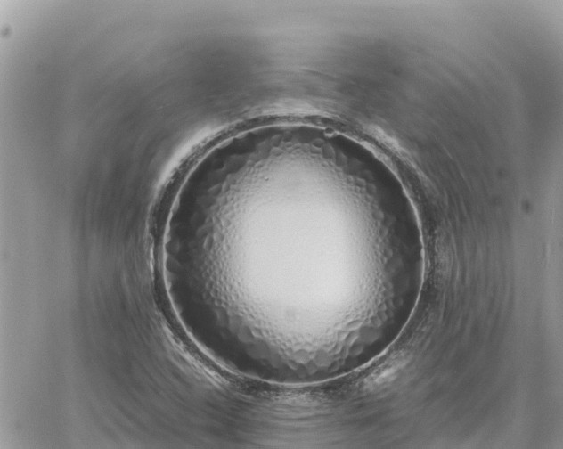 X0000060751408200511171111