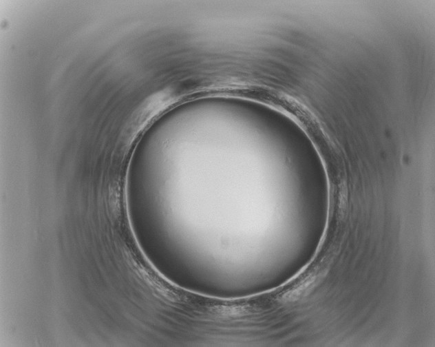 X0000060751409200511171111