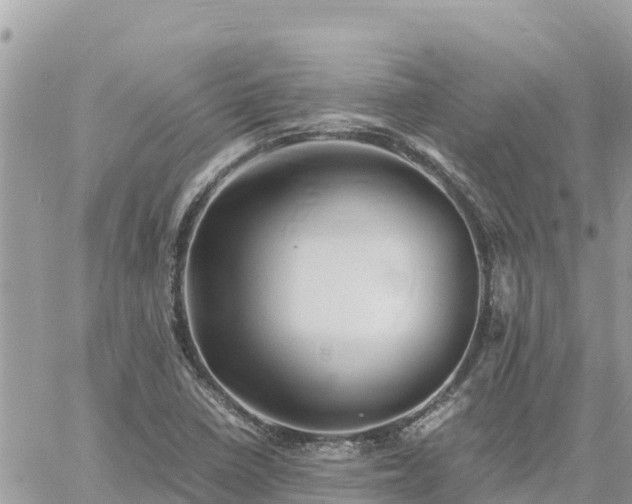 X0000060751410200511171111