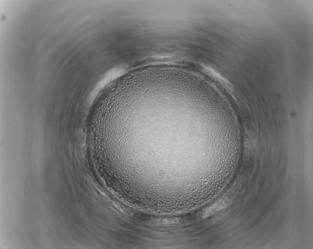 X0000060751411200511171111