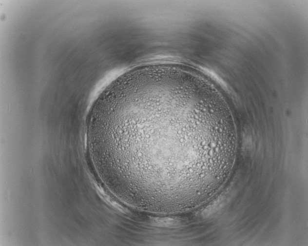 X0000060751413200511171111