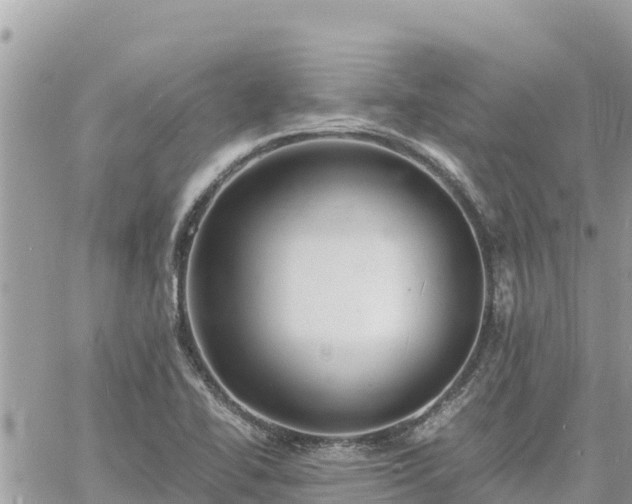 X0000060751414200511171111