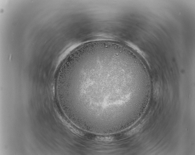 X0000060751415200511171111