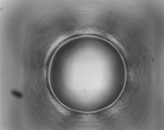 X0000060751416200511171111