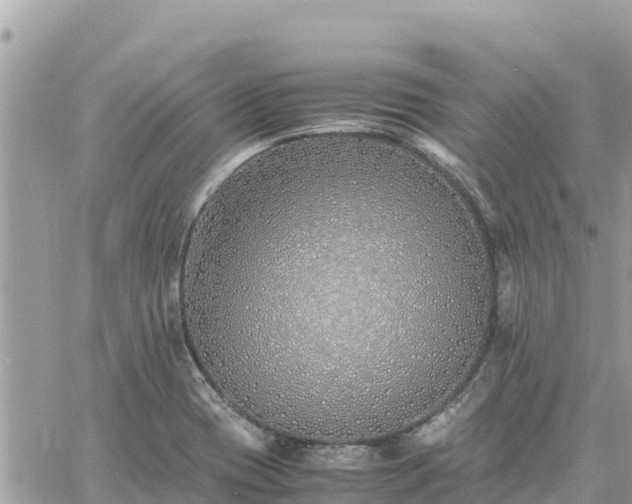 X0000060751417200511171111