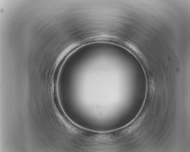 X0000060751418200511171111