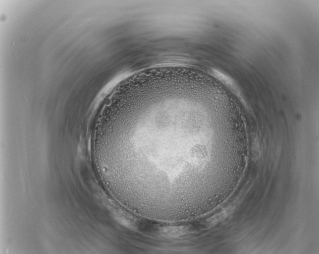 X0000060751419200511171111