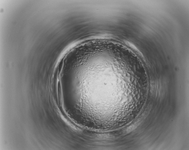 X0000060751421200511171111