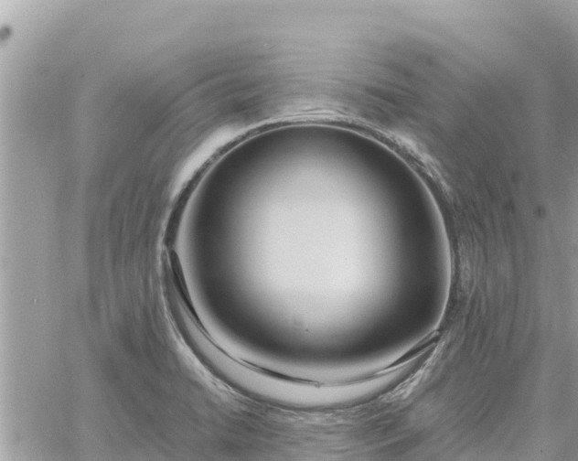 X0000060751422200511171111