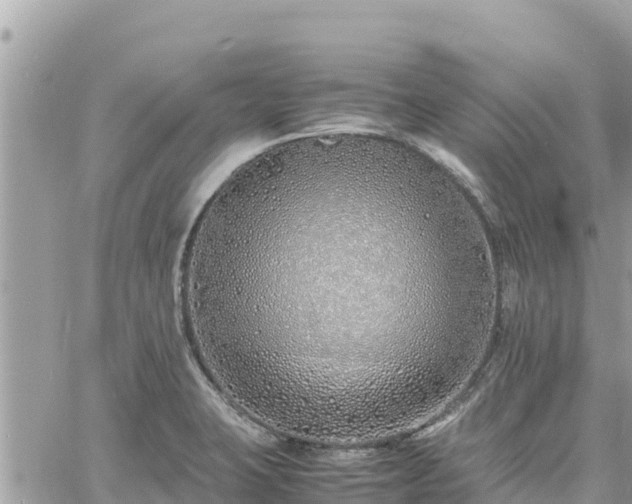 X0000060751423200511171111