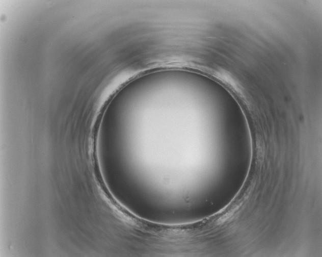 X0000060751424200511171111