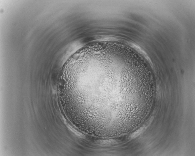 X0000060751425200511171111