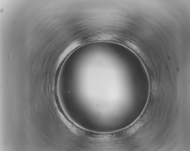 X0000060751426200511171111