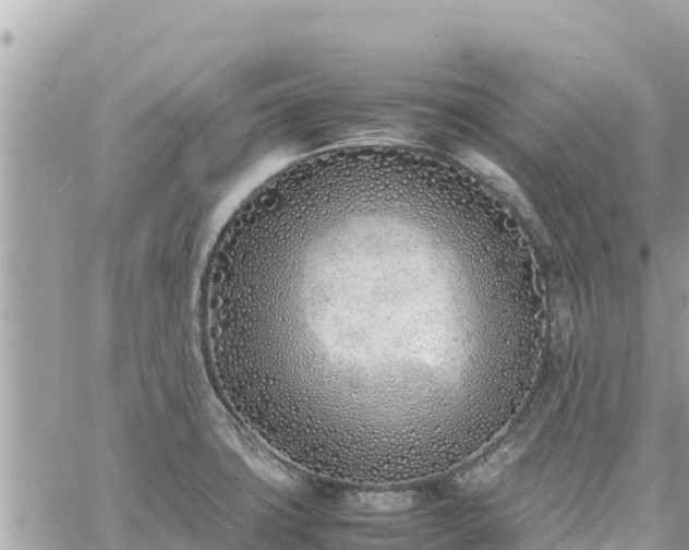 X0000060751427200511171111