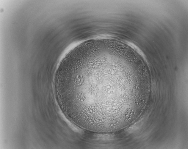 X0000060751429200511171111