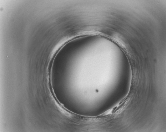 X0000060751430200511171111