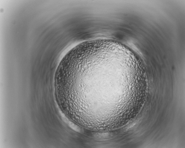 X0000060751431200511171111