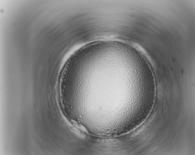 X0000060751432200511171111