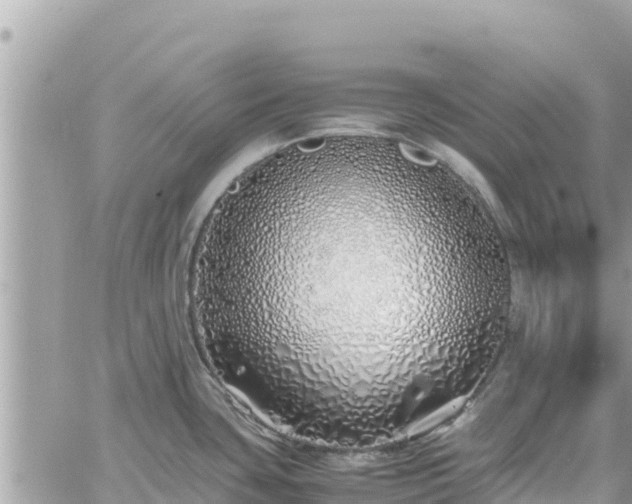 X0000060751435200511171111