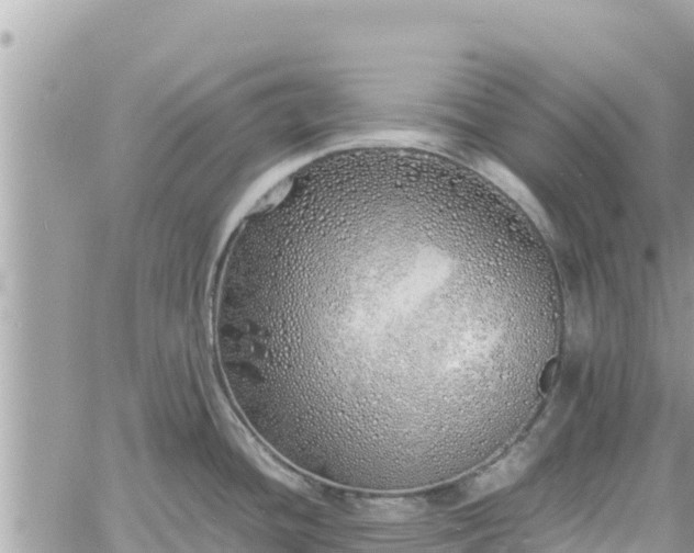 X0000060751436200511171111