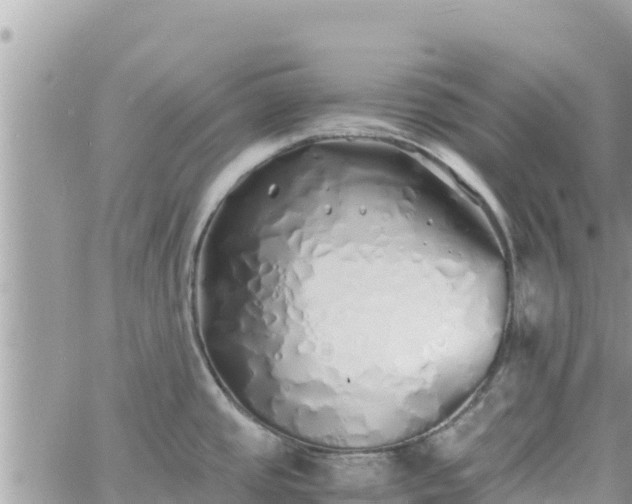 X0000060751437200511171111