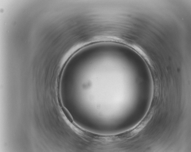 X0000060751438200511171111