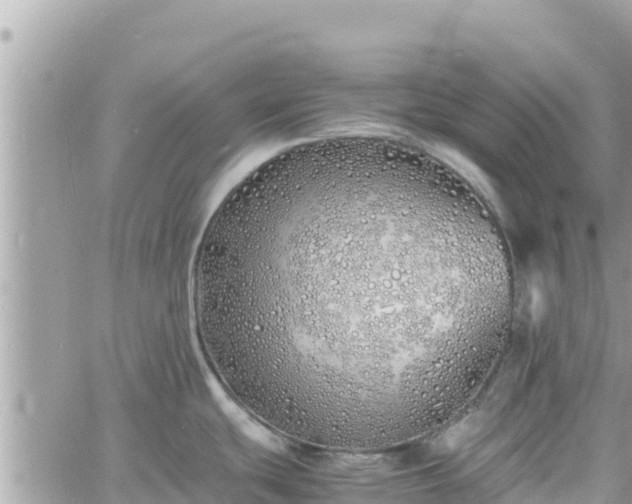 X0000060751439200511171111