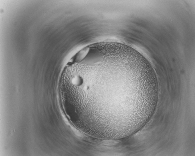 X0000060751440200511171111