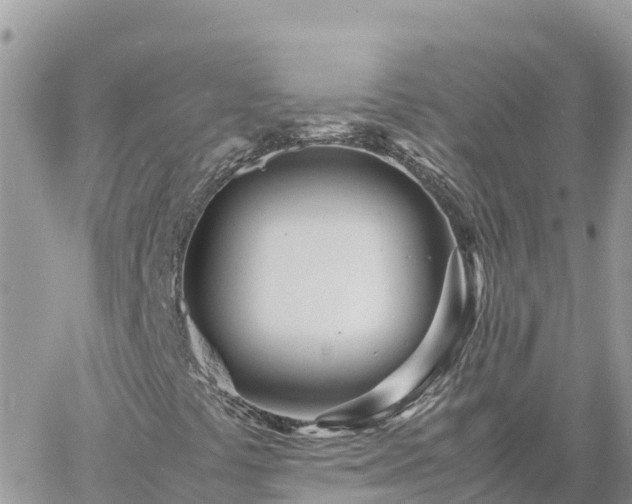 X0000060751441200511171110