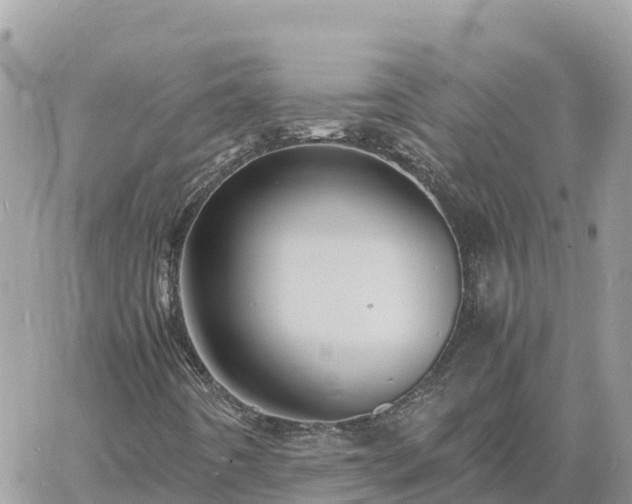 X0000060751442200511171110