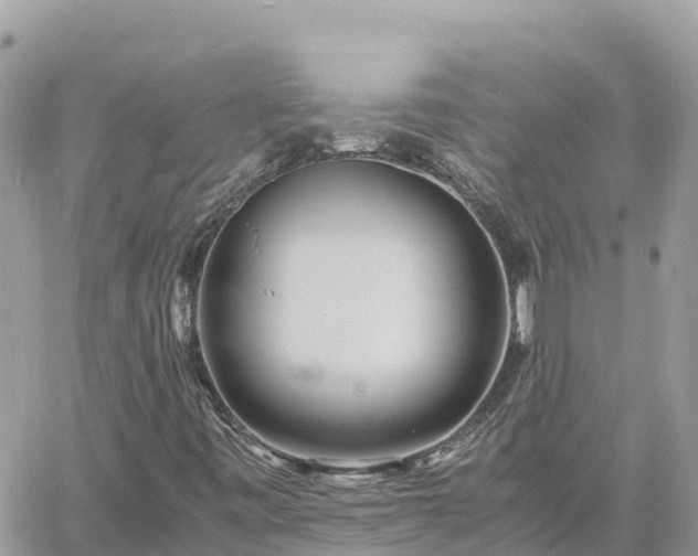 X0000060751443200511171110