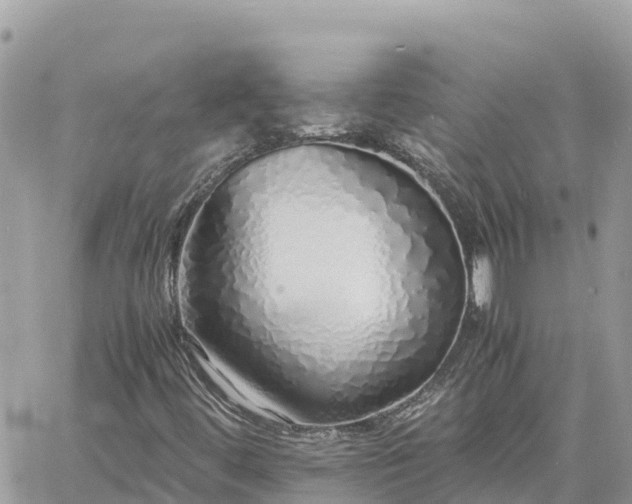 X0000060751444200511171110